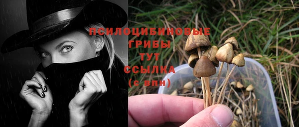 МДМА Мегион