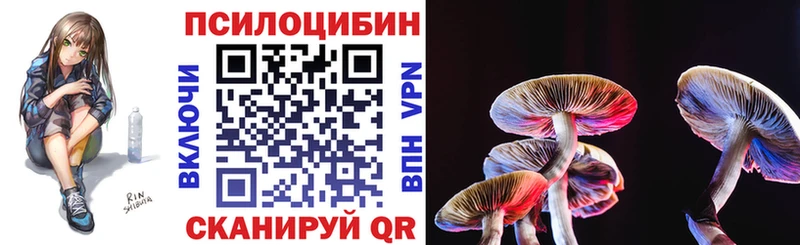 магазин  наркотиков  Углегорск  Псилоцибиновые грибы GOLDEN TEACHER 